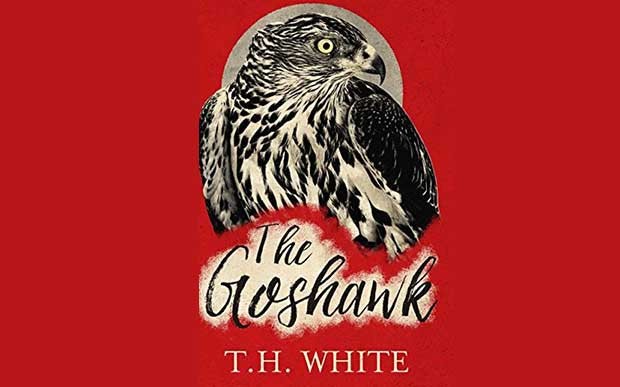 T. H. White's The Goshawk