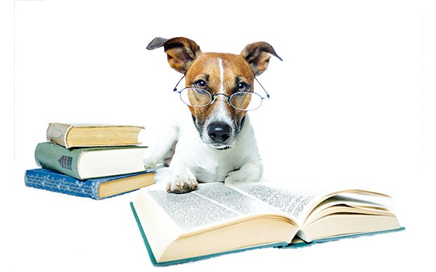 Beware My Fangs – Five Fictional Dogs