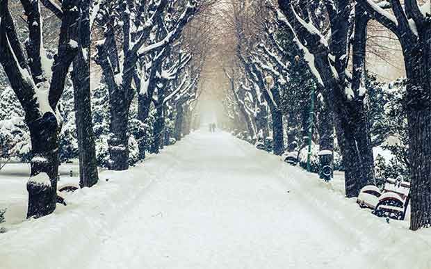 A Walk in The Fictional Snow: Seven Chilling Winter Tales